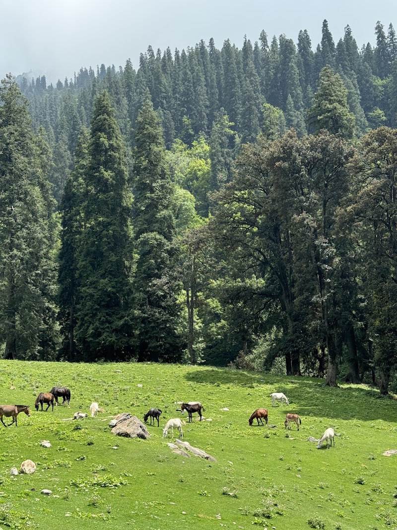 Hampta Pass Trek Base - Hampta Pass Trek Base, 763M+Q8, Bashisht, Himachal Pradesh 175143, India