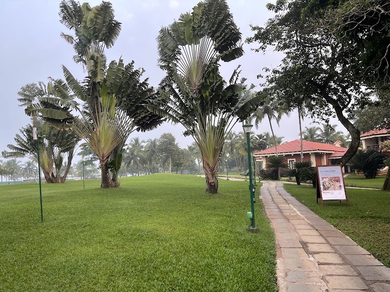 Masa Beach Shack - Masa Beach Shack 6W6J+VP7, Fatrade, Orlim, Goa 403721, India