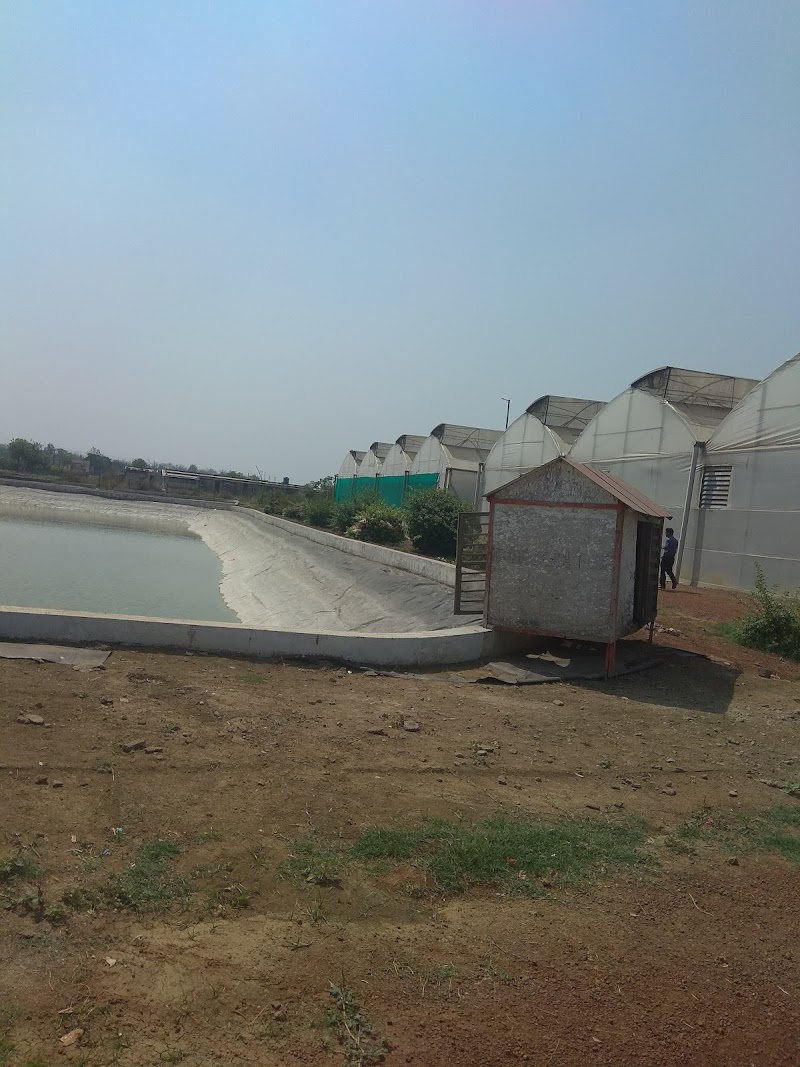 Indira Gandhi Agricultural University - Indira Gandhi Agricultural University, 6PQ4+25G, Krishak Nagar, Raipur, Purena, Chhattisgarh 492012, India