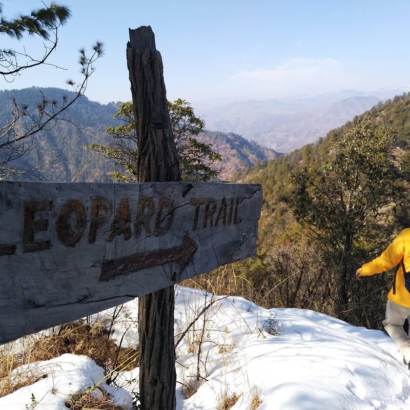 Jabarkhet Nature Reserve, Mussorie - Jabarkhet Nature Reserve, Mussorie Nature Reserve, Jabarkhet, Landour, Mussoorie, Uttarakhand 248179, India