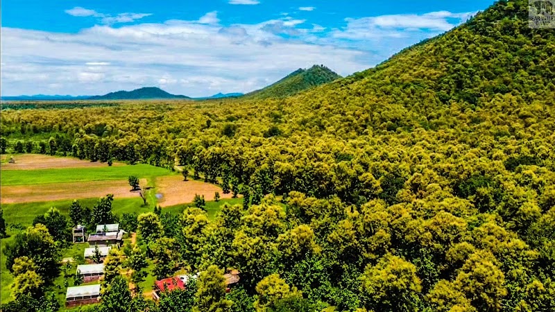 Bear Valley Camp - Bear Valley Camp, 602 Jhinnadham Banahari, Road, Panna, Jhinna, Madhya Pradesh 488220, India