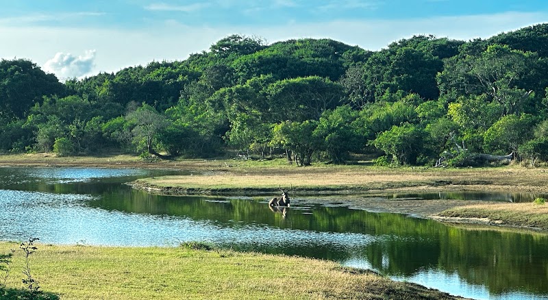 Yala camping tent - Yala camping tent, 78GJ+M7H, Uddhakandara, Sri Lanka