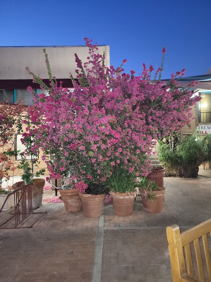 Courtyard Shops - Courtyard Shops, 414 S Mill Ave, Tempe, AZ 85281, USA