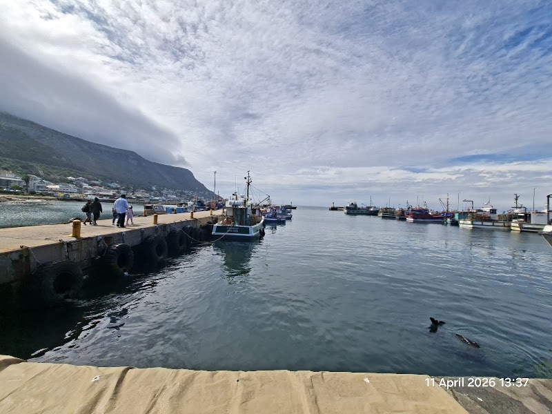 Harbour House Kalk Bay - Harbour House Kalk Bay, Harbour, Main Rd, Kalk Bay, Cape Town, 7900, South Africa