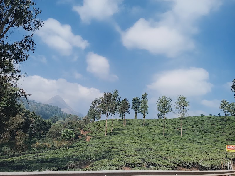 Munnar - Top Station Highway - Munnar - Top Station Highway, Munnar - Top Station Hwy, Munnar, Kerala, India