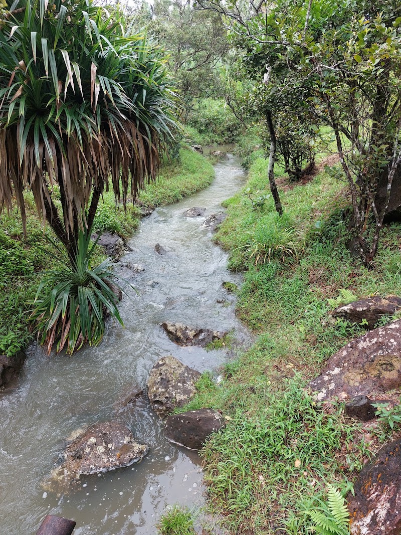 Alexandra Falls - Alexandra Falls, 30 Old Moka Rd, Mauritius