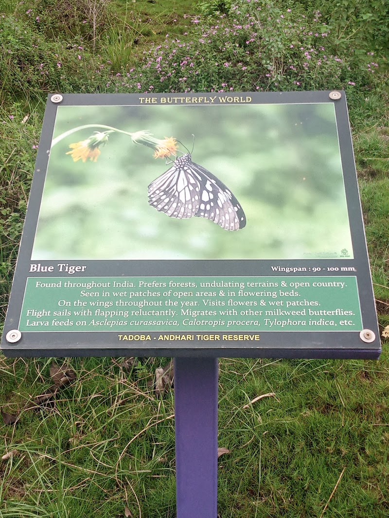 ButterFly World - ButterFly World 485H+3JR, Road, Agarzari, Maharashtra 442404, India