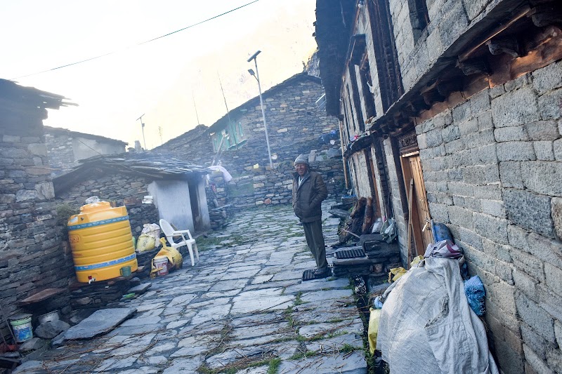 Dantu - Dantu, Uttarakhand 262545, India