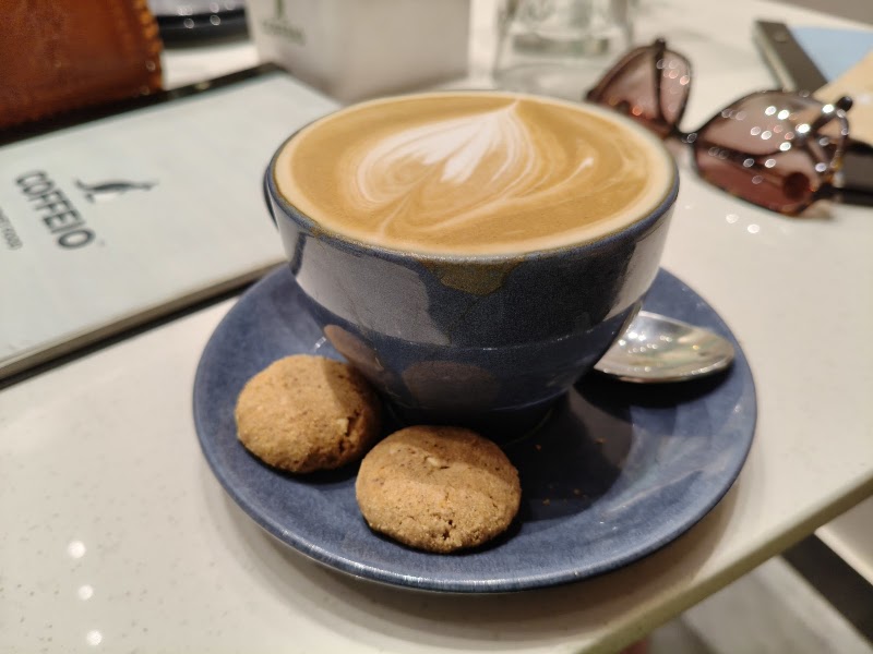Coffeio - Coffeio, 4D, 21, Sector 4, Jai Narayan Vyas Colony, Bikaner, Rajasthan 334003, India