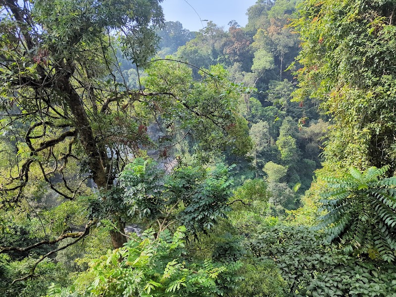 Valara waterfalls view point - Valara waterfalls view point 2RWR+X4R, Munnar - Aluva Rd, Chillithodu, Kerala 685561, India
