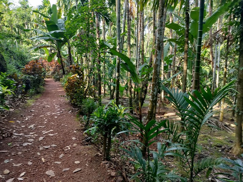 Sahakari Spice Farm - Sahakari Spice Farm C26G+23G, Panjim - Belagavi Main Rd, Curti, Ponda, Goa 403401, India