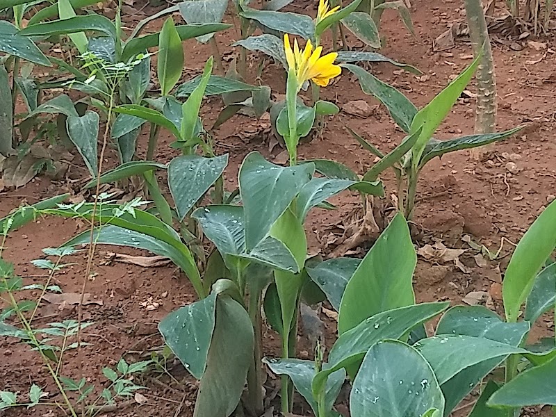 BBMP Park - BBMP Park 814, 11th Cross Rd, RBI Layout, JP Nagar 7th Phase, J. P. Nagar, Bengaluru, Kothnur, Karnataka 560078, India