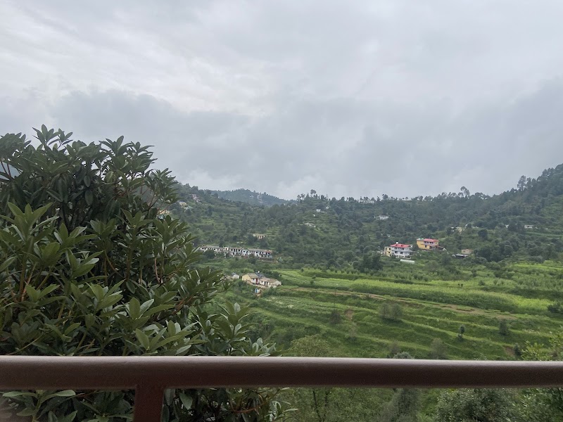Ecstasy Stays & Cafe - Ecstasy Stays & Cafe, Ecstasy lane, road, Darima, Mukteshwar, Uttarakhand 263158, India