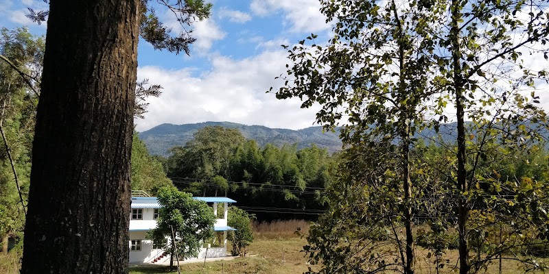 The Wilderness Resort - The Wilderness Resort Allurvayal, Thorpally, Mudumalai, Gudalur, Tamil Nadu 643211, India