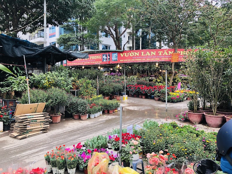 Vạn Phúc Flower Market - Vạn Phúc Flower Market, Đường Vạn Phúc, làng Vạn Phúc, Hà Đông, Hà Nội, Vietnam