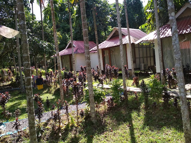 Havelock Nagri Resort - Havelock Nagri Resort Road No. 7, Radhanagar, Havelock Island, Andaman and Nicobar Islands 744211, India