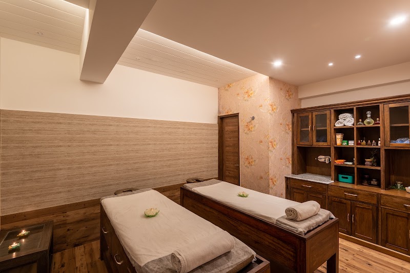 Spring Valley Spa Resort by DLS Hotels - Spring Valley Spa Resort by DLS Hotels Bhagsu Nag, Dharamshala, Himachal Pradesh 176216, India