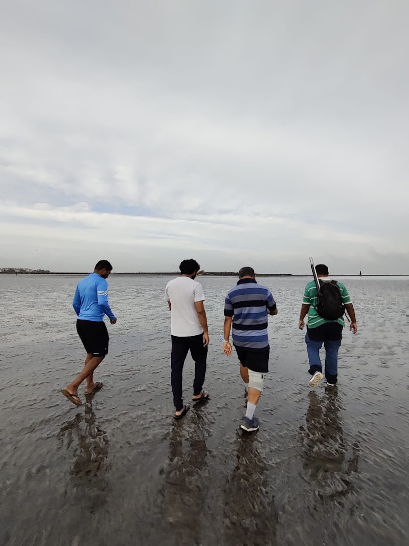 Marine Trail Juhu with Naturalist Explorers - Marine Trail Juhu with Naturalist Explorers 27, near pagali saree, Chandrabai Nagar, Juhu, Mumbai, Maharashtra 400049, India