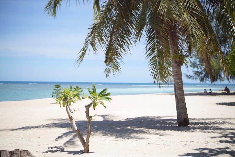 Zen Bungalows - Zen Bungalows Ko Pha-ngan, Ko Pha-ngan District, Surat Thani, Thailand