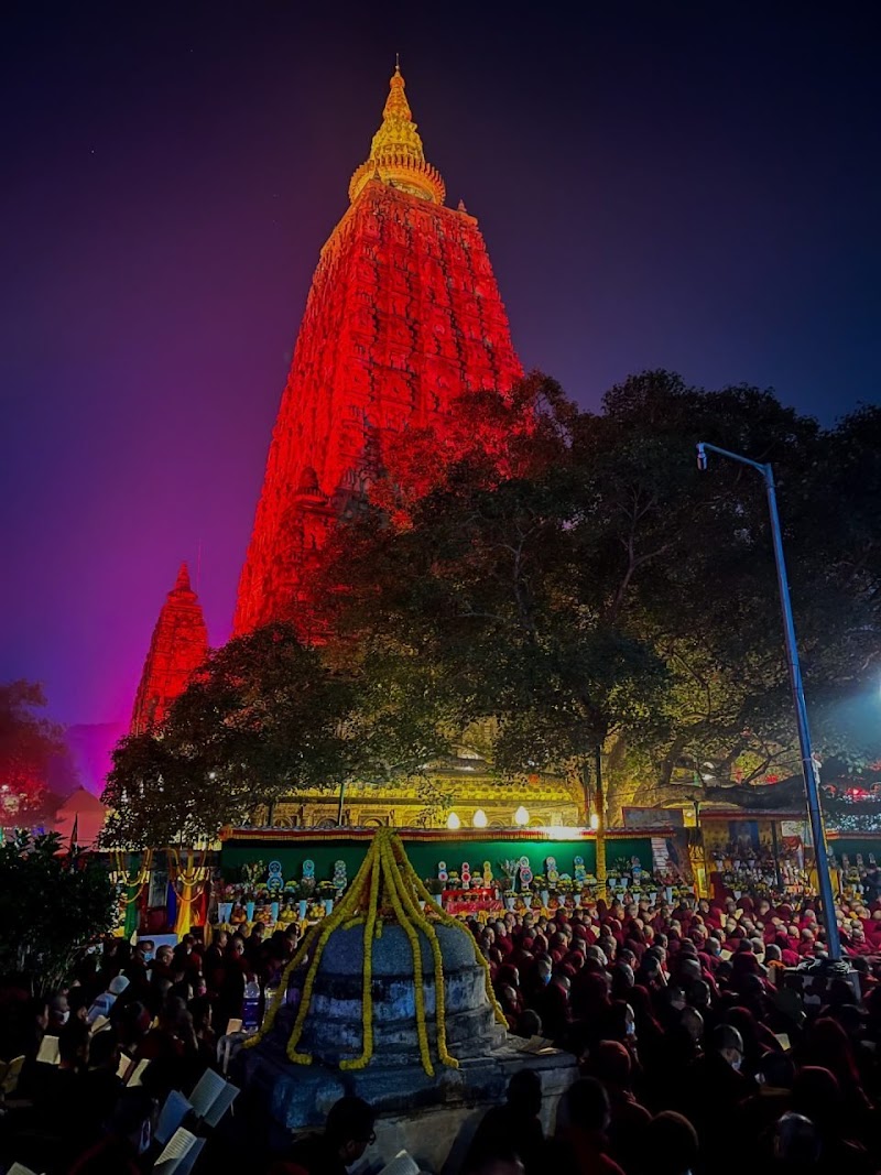 Bodhgaya Bodhi Tree - Bodhgaya Bodhi Tree Mocharim, Bodh Gaya, Bihar 824231, India