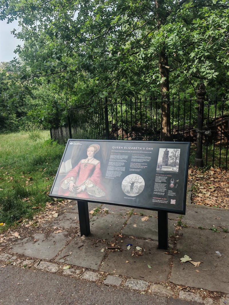 Queen Elizabeth I Oak - Queen Elizabeth I Oak London SE10 9NN, UK