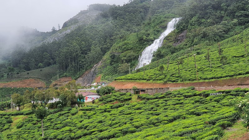 Chinnakanel Waterfalls - Chinnakanel Waterfalls 25Q3+3X3, NH-49, Chinnakanal, Kerala 685613, India