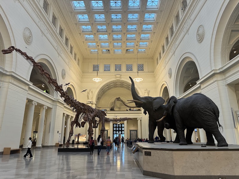 Field Museum - Field Museum, 1400 S Lake Shore Dr, Chicago, IL 60605, USA