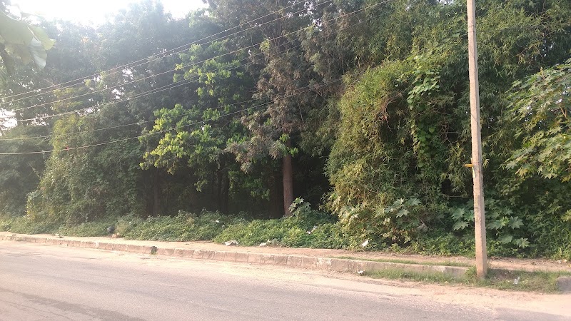Doddanekundi - Doddanekundi, Bengaluru, Karnataka 560037, India
