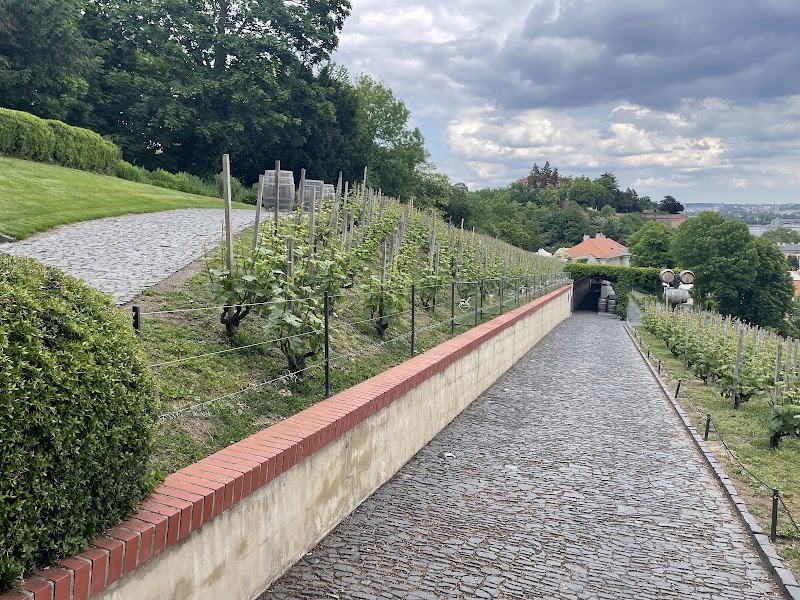 St. Wencesla's Vineyard - St. Wencesla's Vineyard, Staré zámecké schody 192/8, 119 00 Praha 1-Hradčany, Czechia