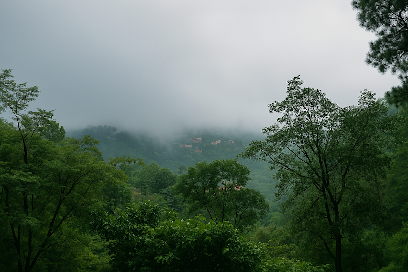 Emerald Stays - Emerald Stays, Main Rd, Radopaind, Matlah, Dharampur, Himachal Pradesh 173209, India
