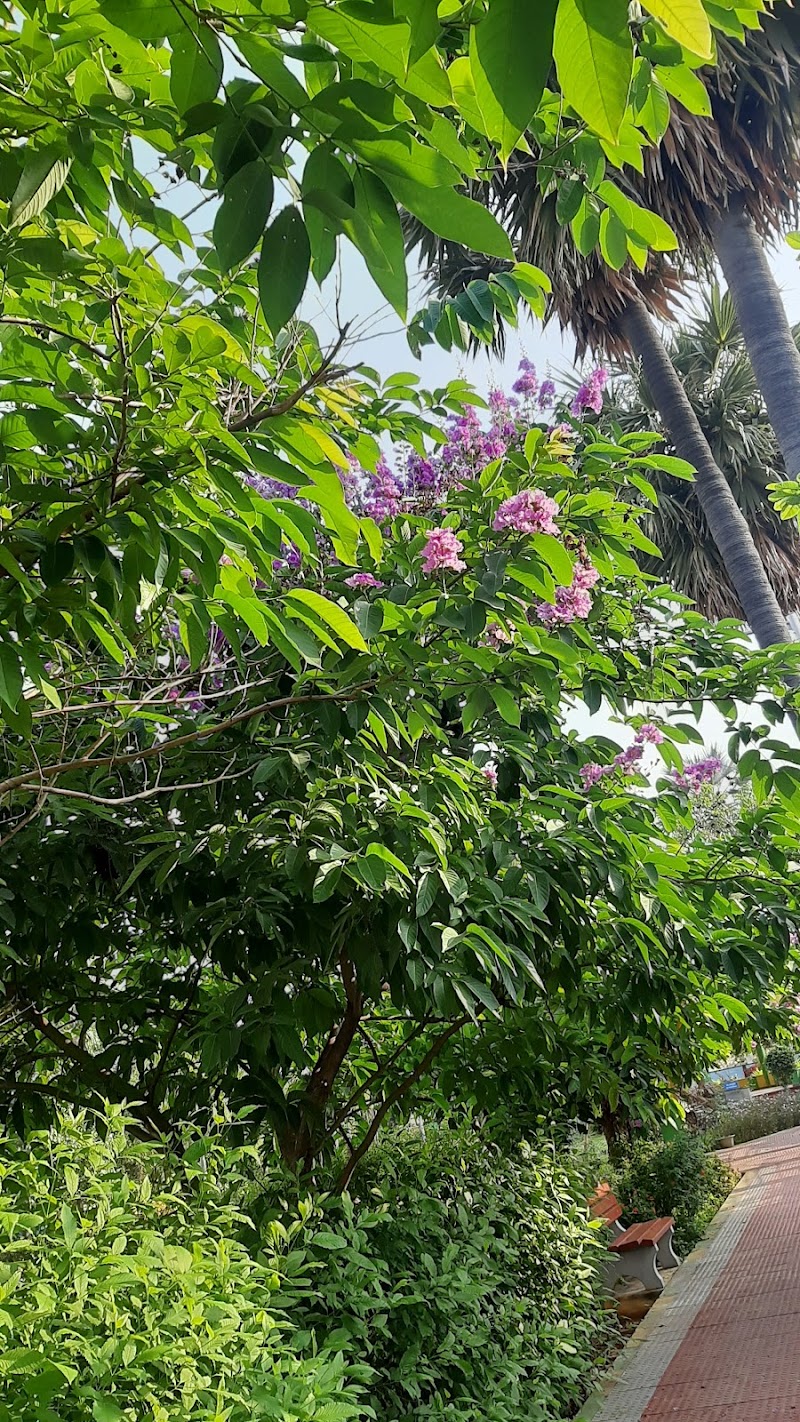 Greater Chennai Corporation Park - Greater Chennai Corporation Park X6R9+834, Indira Gandhi Nagar, Velachery, Chennai, Tamil Nadu 600042, India