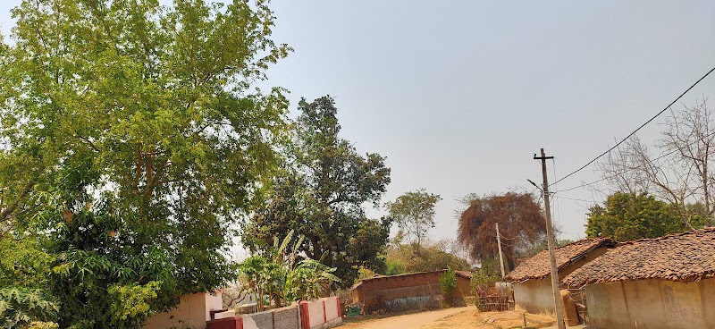 Negipali School, Bisora, NUAPADA, Odisha, IND 766104 - Negipali School, Bisora, NUAPADA, Odisha, IND 766104, 2J3C+23V, school, Negipali, Doto, Odisha 766104, India