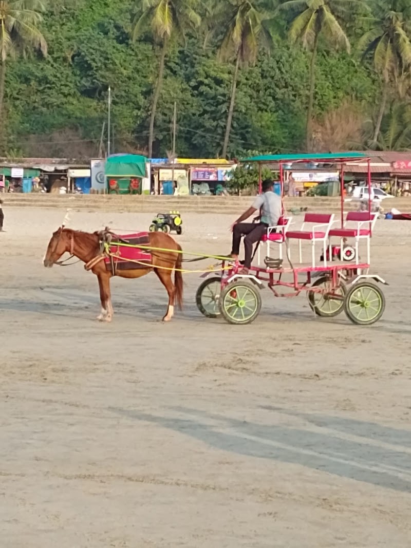 DYNAMIC horse riding - DYNAMIC horse riding 47W8+58H, Ganpatipule, Maharashtra 415615, India