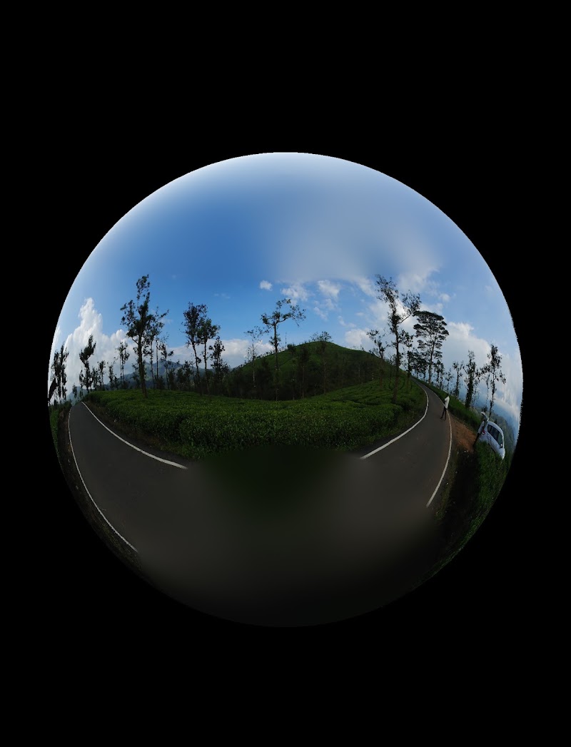 Nilgiri hills view point - Nilgiri hills view point Nelliyalam, Nadugani, Tamil Nadu 643211, India