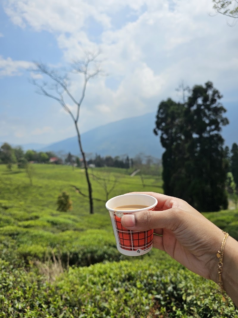 ZERO POINT - ZERO POINT, Rangli Rangliot, Rangli Ranglot Tea Garden, West Bengal 734226, India
