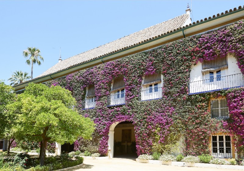Palacio de las Dueñas - Palacio de las Dueñas C. Dueñas, 5, Casco Antiguo, 41003 Sevilla, Spain