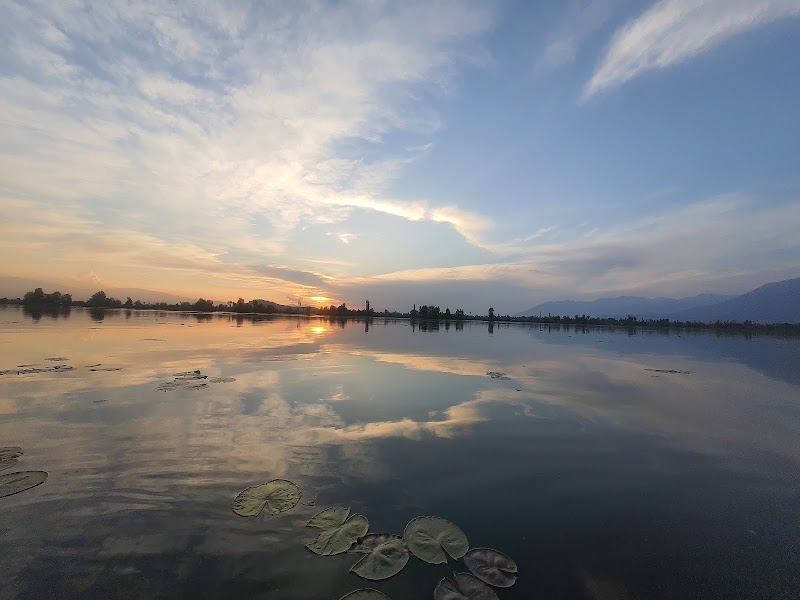 Green view group of houseboat - Green view group of houseboat, New Khonakhan Rd, Karapura, Rainawari, Srinagar, 190001