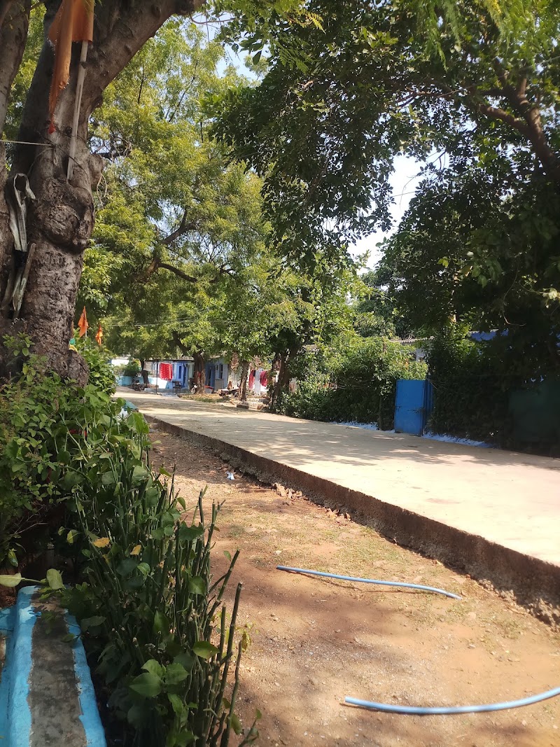 Gandhisagar No. 8 - Gandhisagar No. 8, MHR8+4Q5, वार्ड नंबर 14, Gandhi Sagar, Madhya Pradesh 458771, India
