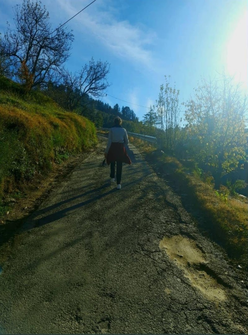 Kotgarh - Kotgarh Kotgarh, Himachal Pradesh, India