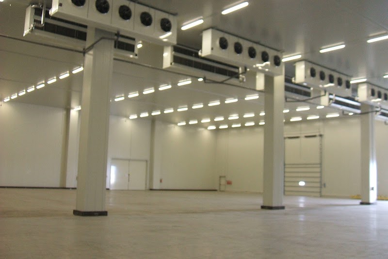 CFFT SPA - Logistics - CFFT SPA - Logistics, Porto di Civitavecchia, Banchina 24/25, 00053 Civitavecchia RM, Italy