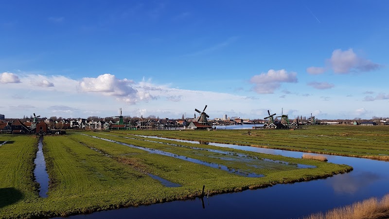 Het Jonge Schaap, Zaandam - Het Jonge Schaap, Zaandam, Kalverringdijk 31A, 1509 BT Zaandam, Netherlands