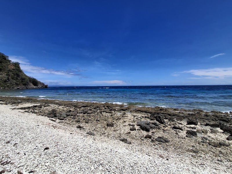 Apo Island Marine Sanctuary - Apo Island Marine Sanctuary, 37FC+M6V Apo Island, Dauin, Negros Oriental, Philippines