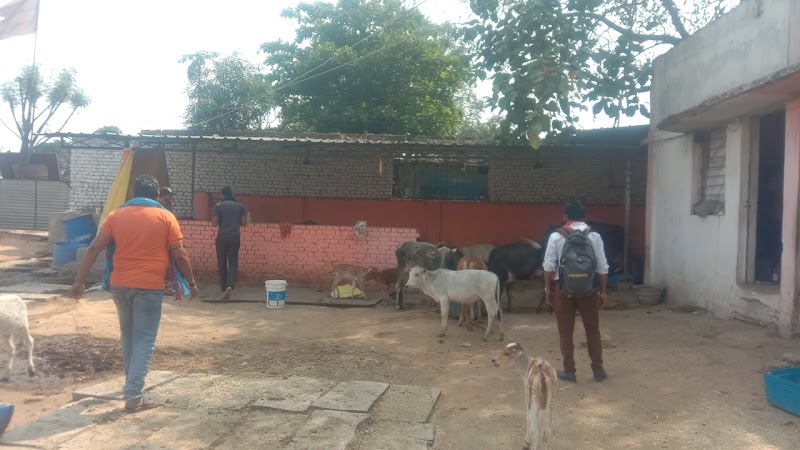 Shree Krishn Gau Seva Dham Kusmunda विश्व हिंदू परिषद बजरंग दल - Shree Krishn Gau Seva Dham Kusmunda विश्व हिंदू परिषद बजरंग दल, Adarsh Nagar, Mangaw, Chhattisgarh 495454, India