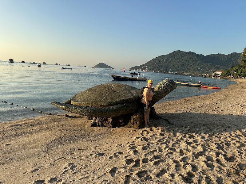 Mae Haad Beach - Mae Haad Beach 3RPF+CVM, Ko Tao, Ko Pha-ngan District, Surat Thani 84360, Thailand