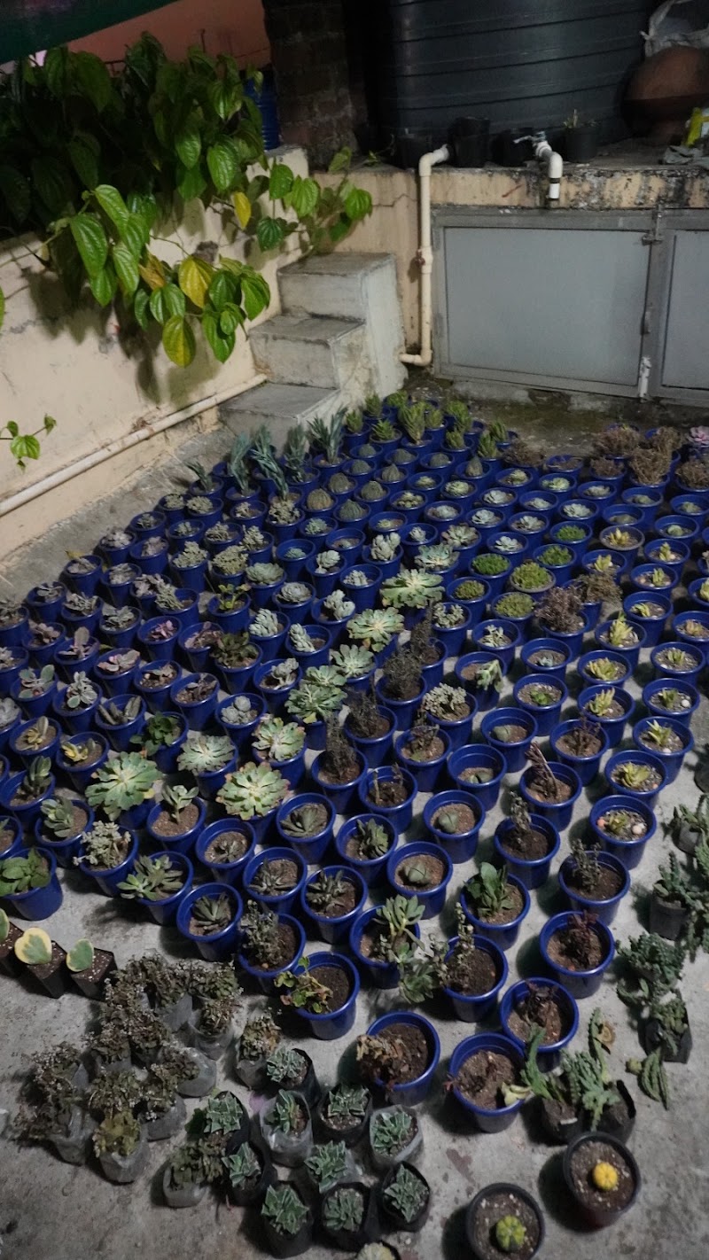 Vriksh Valley - Vriksh Valley, Jayanti -17, Vastu Vihar, 2nd Gully Ghumla, Khunti Road, Vastu Vihar, Kalamati, Ranchi, Hardag, Jharkhand 835221, India