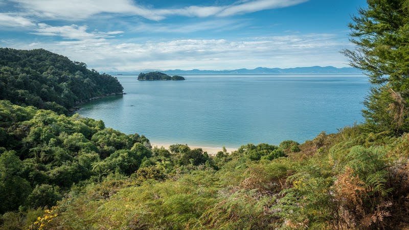 Apple Tree Bay Campsite - Apple Tree Bay Campsite, Abel Tasman Coast track, Tasman Region 7183, New Zealand