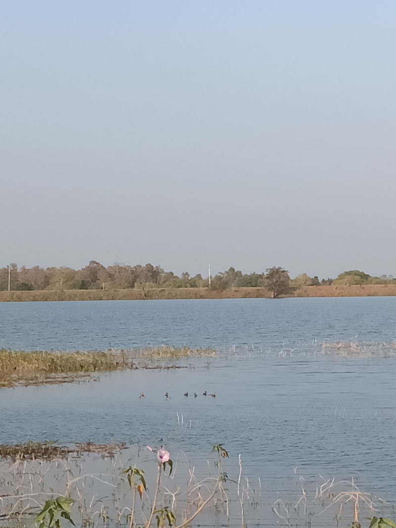 सिंग बांधा तारों (SING BANDHA TARO) - सिंग बांधा तारों (SING BANDHA TARO), X5PM+88M, Taro, Chhattisgarh 491995, India