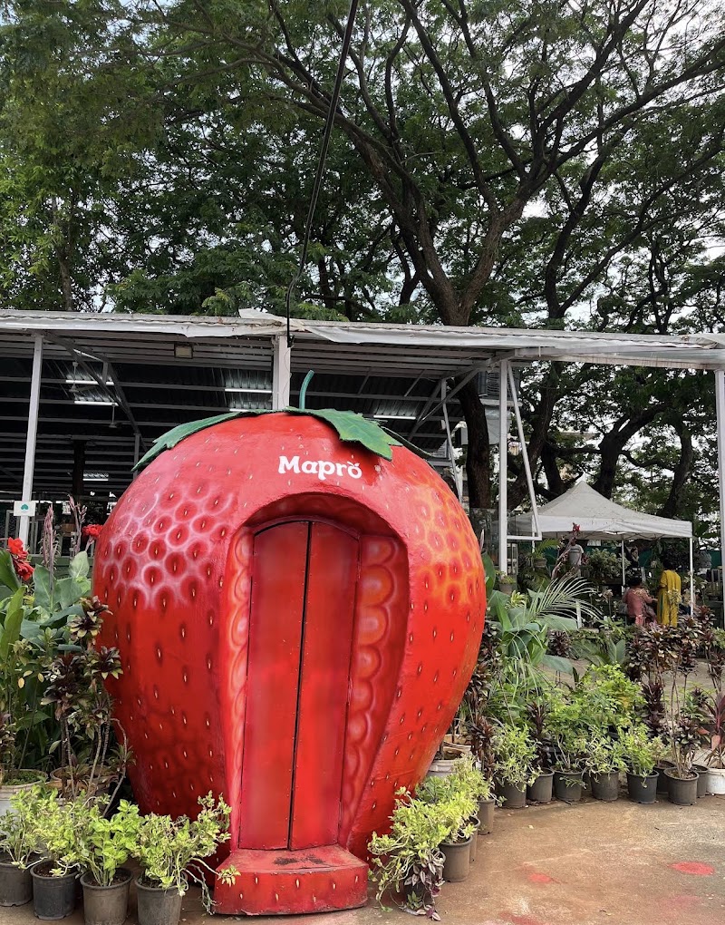 Mapro Garden - Mapro Garden Sr no 3 & 4, Old Mumbai - Pune Hwy, Valvan, Lonavala, Maharashtra 410403, India