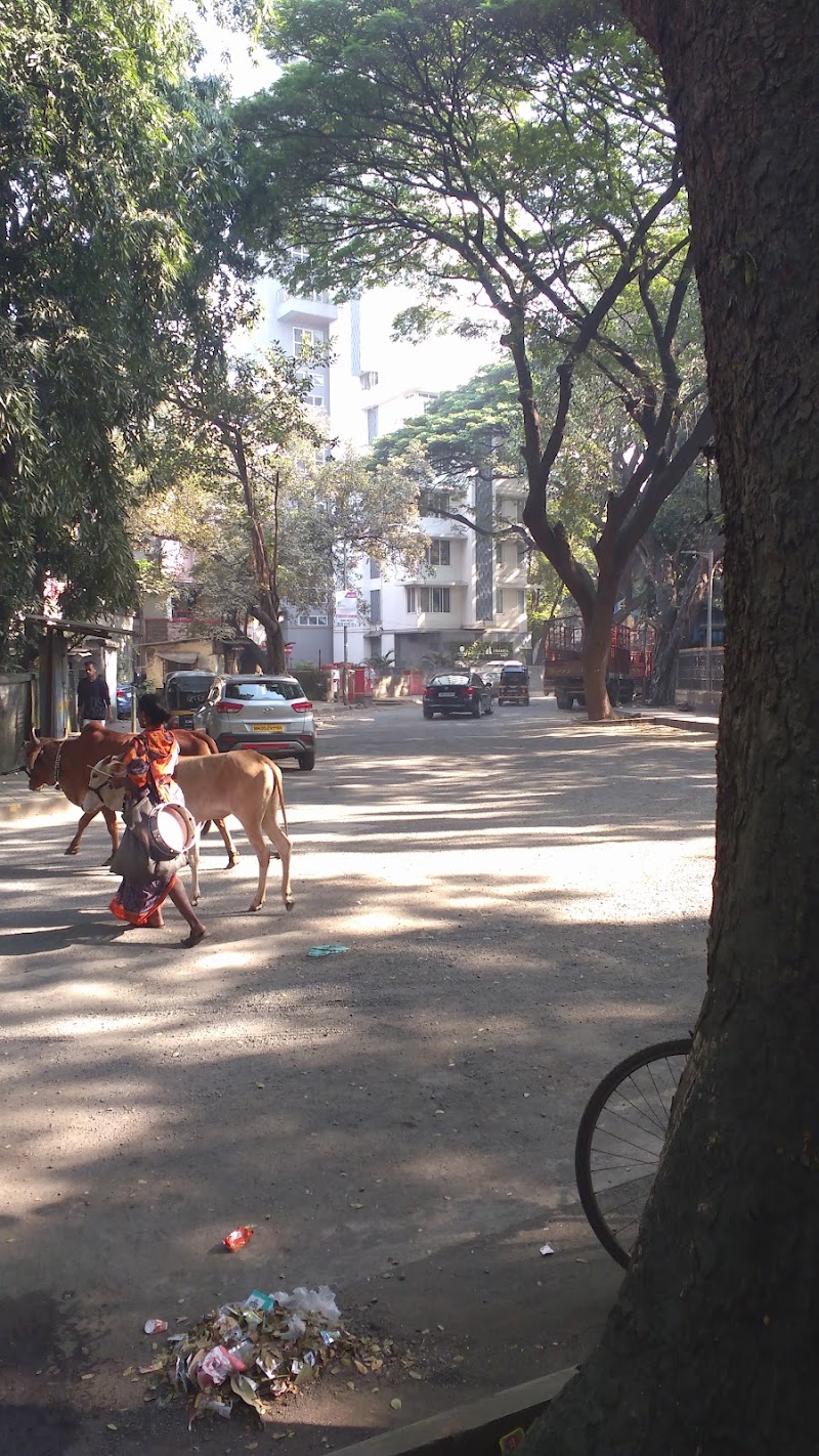 Linking Road - Linking Road, Linking Rd, Khar West, Mumbai, Maharashtra, India