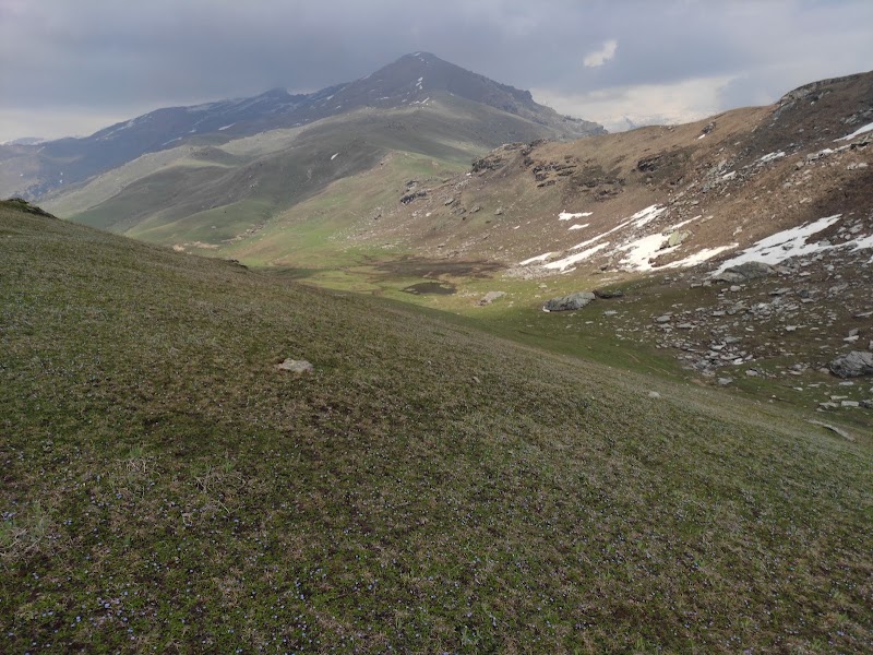 Panduropa - Panduropa, 7659+W6P, Bashisht, Himachal Pradesh 175143, India